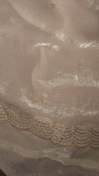 Ruby Twilight Embroidered Chiffon
